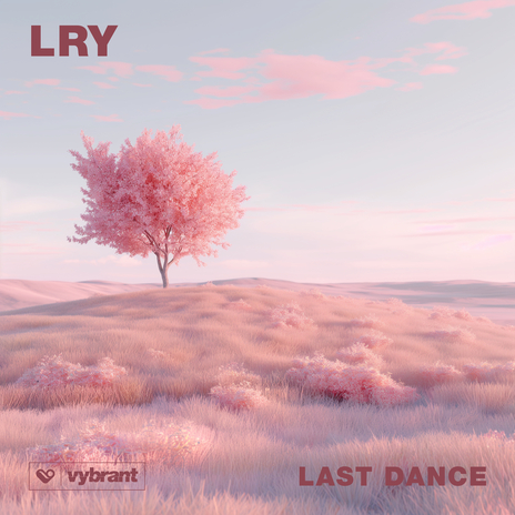 Last Dance | Boomplay Music