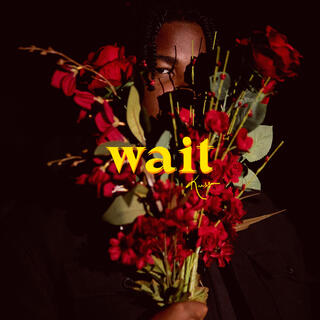 Wait lyrics | Boomplay Music