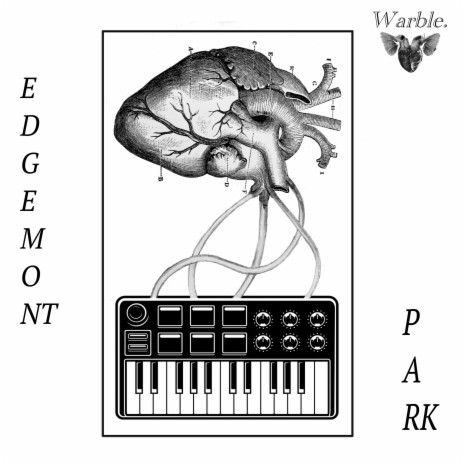 Edgemont Park | Boomplay Music