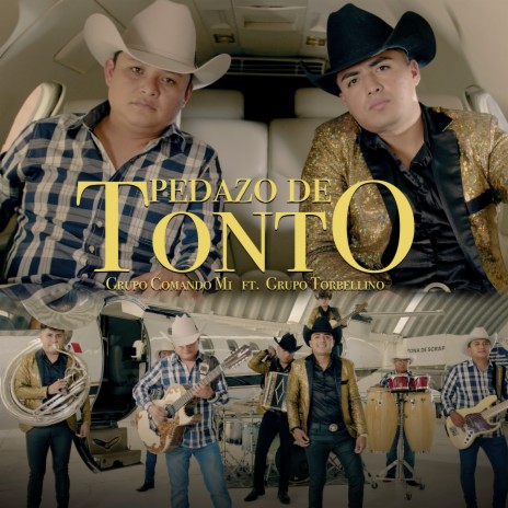 Pedazo de Tonto ft. Grupo Torbellino | Boomplay Music