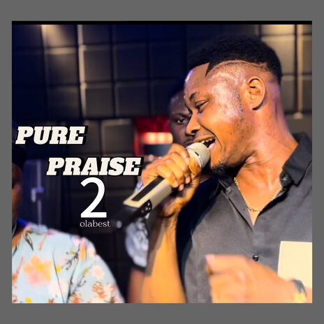 Pure Praise 2 | Boomplay Music