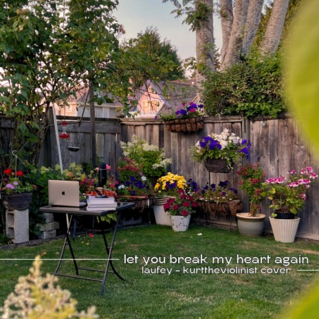 Let You Break My Heart Again | Boomplay Music