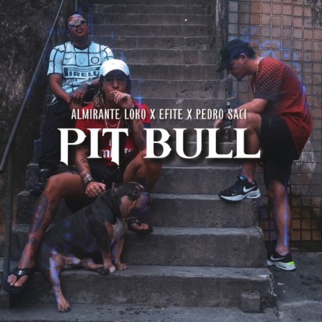 Pit Bull ft. Almirante Loko & Pedro Saci | Boomplay Music