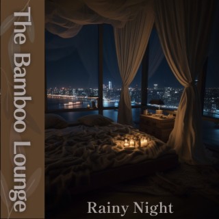 Rainy Night