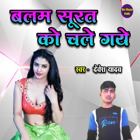 Balam Surat Ko Chale Gaye | Boomplay Music