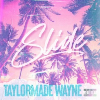 TaylorMade Wayne