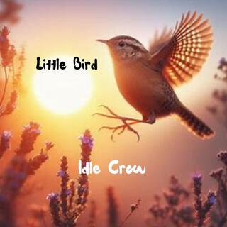 Little Bird