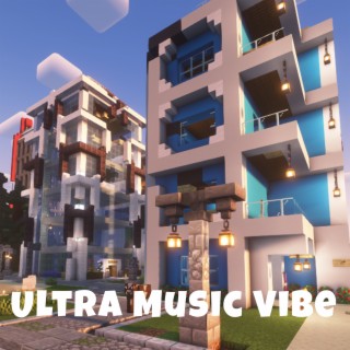 Ultra Music Vibe