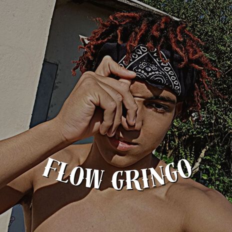 Flow Gringo | Boomplay Music