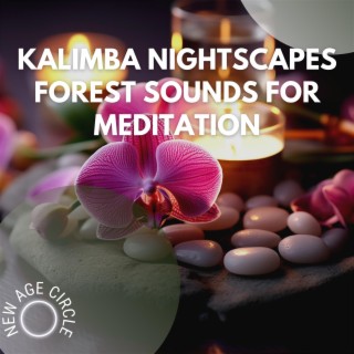 Kalimba Nightscapes: Forest Sounds for Meditation