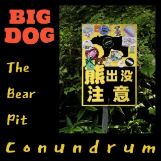 The Bear Pit Conundrum