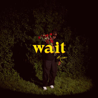 Wait (Remix)