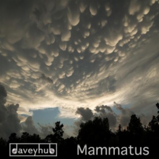 Mammatus