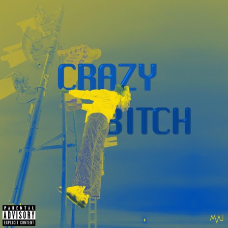 Crazy Bitch Instead | Boomplay Music