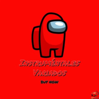 Instrumentales variados