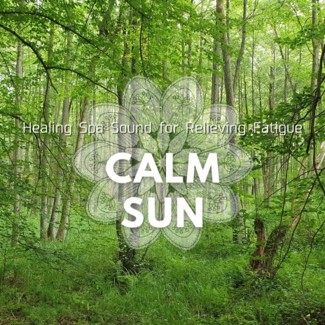 Wondrous Mindfulness | Boomplay Music