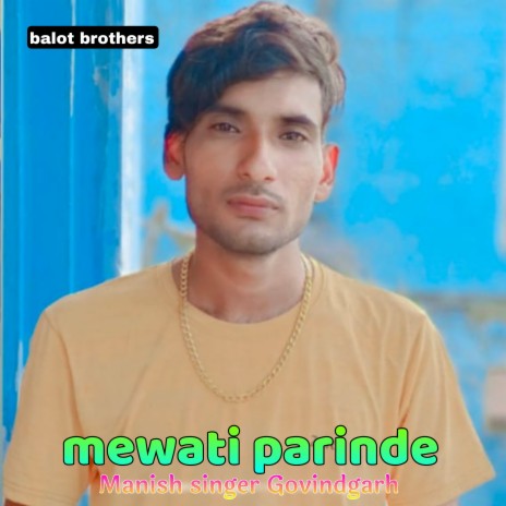 Manish Singer Ki Love Storie (Mewati song) | Boomplay Music