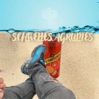 SCHWEPPES AGRUMES