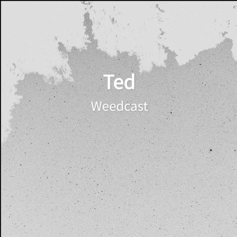 Ted | Boomplay Music