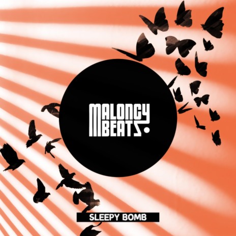Sleepy Bomb | Boomplay Music