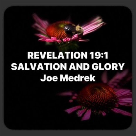 Revelation 19:1 Salvation And Glory