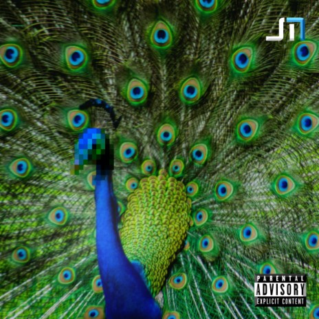 Peacocks | Boomplay Music