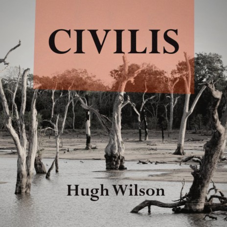 Voices (Civilis Version) | Boomplay Music