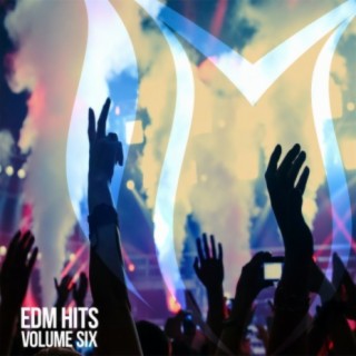 EDM Hits, Vol. 6