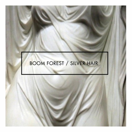 Silver Hair | Boomplay Music