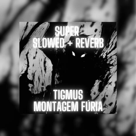 MONTAGEM FÚRIA (Super Slowed + Reverb)