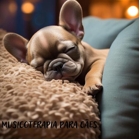 Música calmante para cães ft. Música para Cachorros!, Hz Música para Cachorro, Música Calmante para Cachorros & Dog Music! | Boomplay Music