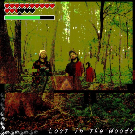 Lost in the Woods | Boomplay Music