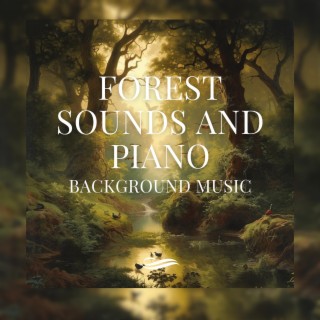 Forest Sounds and Piano Background Music