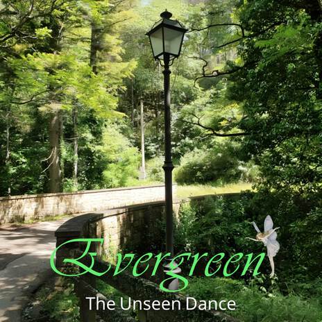 The Unseen Dance | Boomplay Music