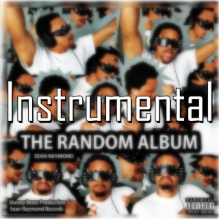 The Random Album (Instrumental)