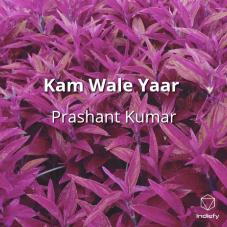 Kam Wale Yaar ft. Vipul Singh | Boomplay Music