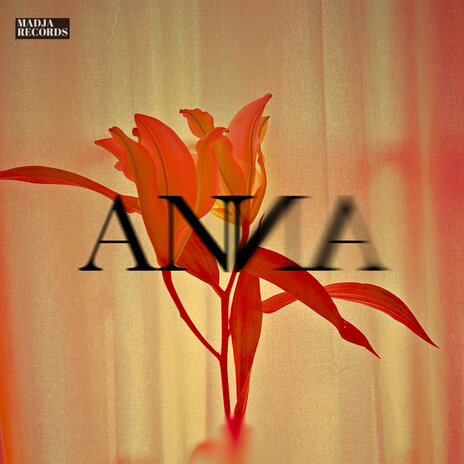 Anna | Boomplay Music