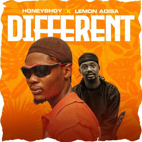 DIFFERENT ft. Lemon Adisa | Boomplay Music