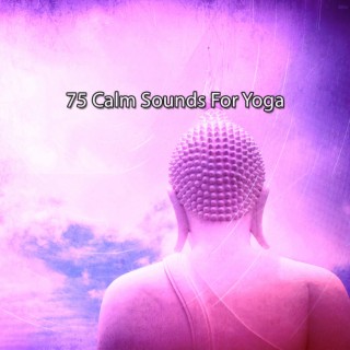 75 Sons calmes pour le yoga (2022 Tout pour le spectacle Studios)