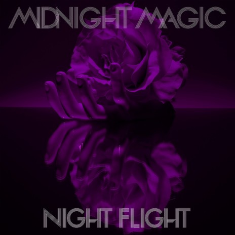 Night Flight (No Regular Play Instrumental) | Boomplay Music