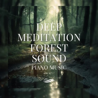 Deep Meditation Forest Sound, Piano Music