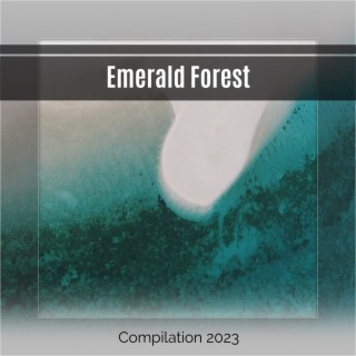 Emerald Forest