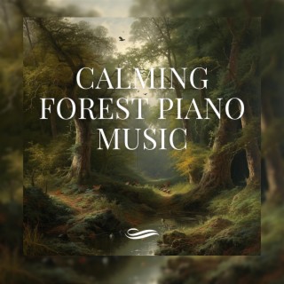 Calming Forest Piano Music