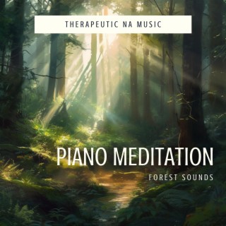 Piano Meditation (Forest Sounds)