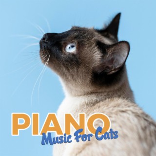 Cat Piano Music