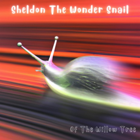 Sheldon The Wonder Snail