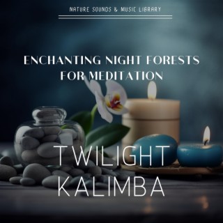 Twilight Kalimba: Enchanting Night Forests for Meditation