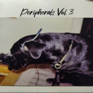 Peripherals Vol. 3
