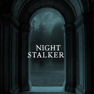 NIGHT STALKER