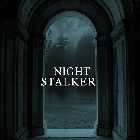 NIGHT STALKER | Boomplay Music